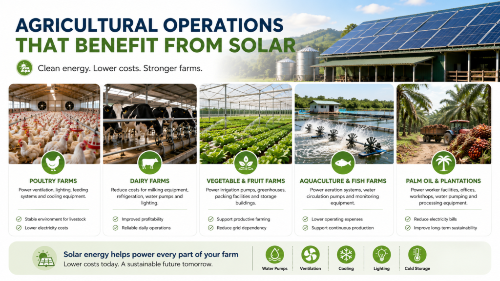 Agricultural Operations That Benefit from Solar Arus Energ